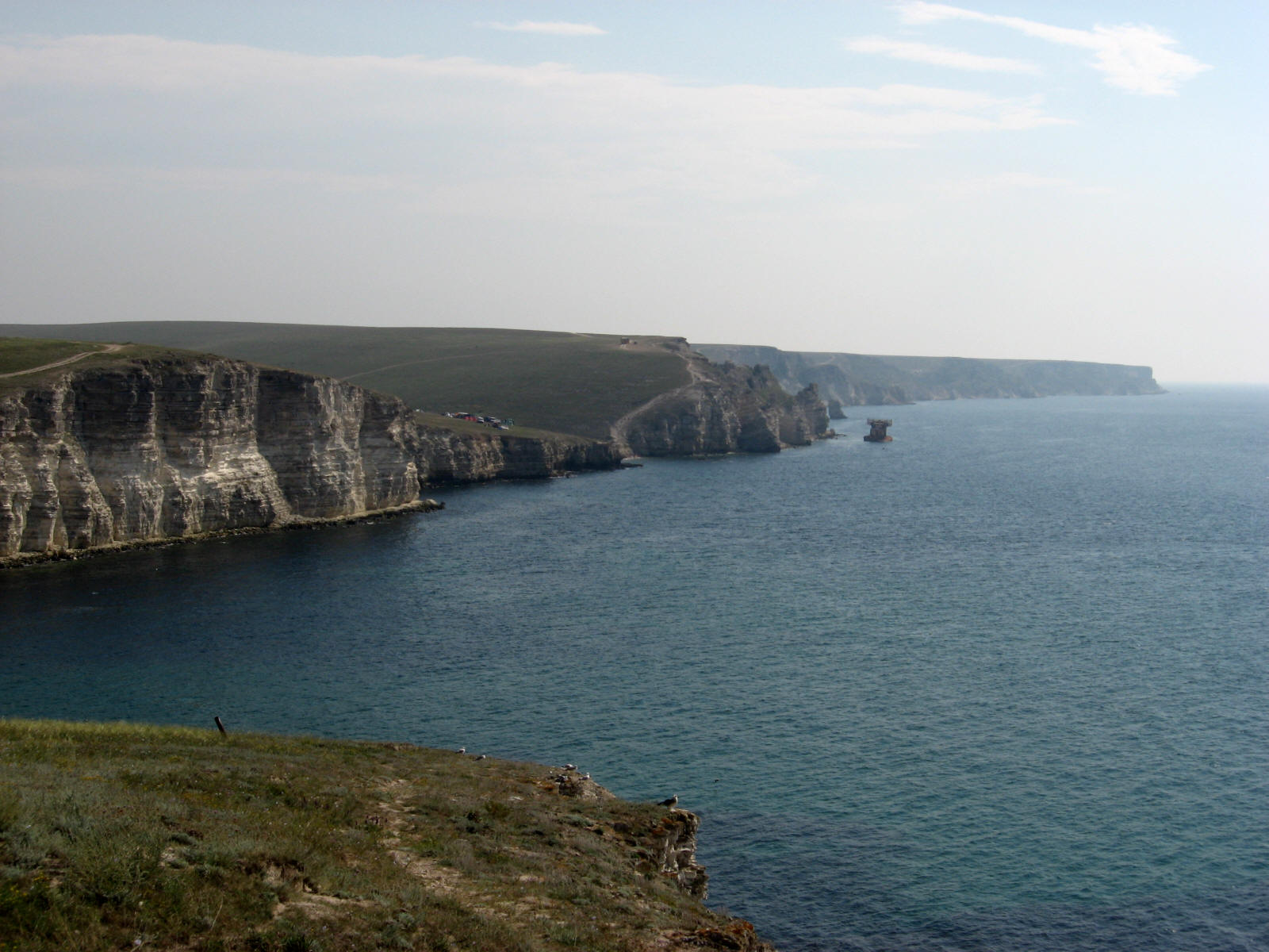 каркинитский залив черного моря